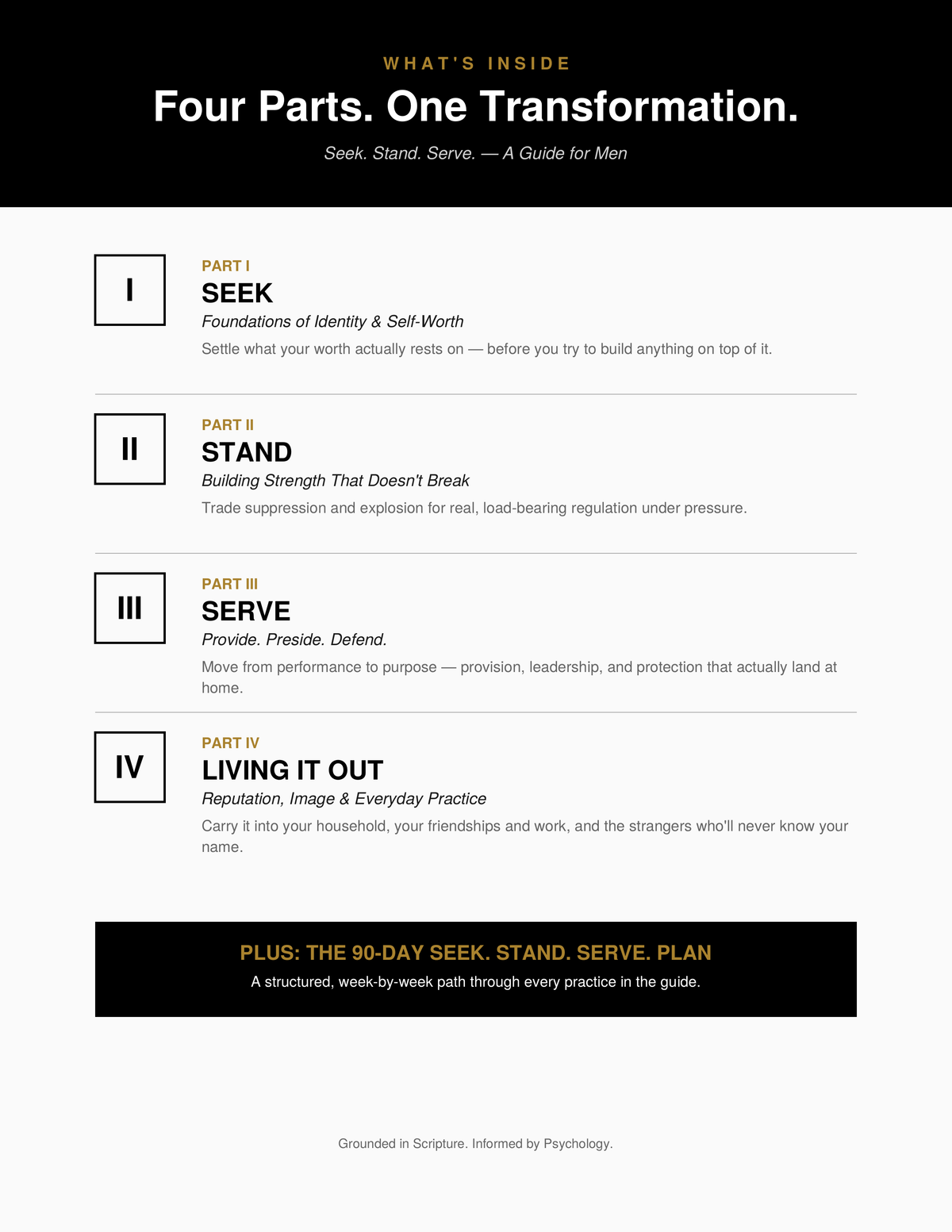 Seak. Stand. Serve. - A Man's Guide to Healthy Masculinity