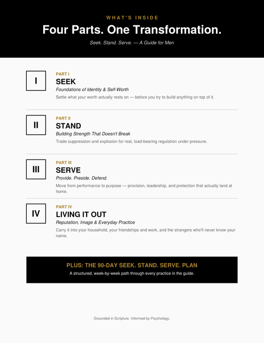 Seak. Stand. Serve. - A Man's Guide to Healthy Masculinity